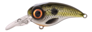 0001_Spro_Fat_Iris_60_CR__[Shad].jpg